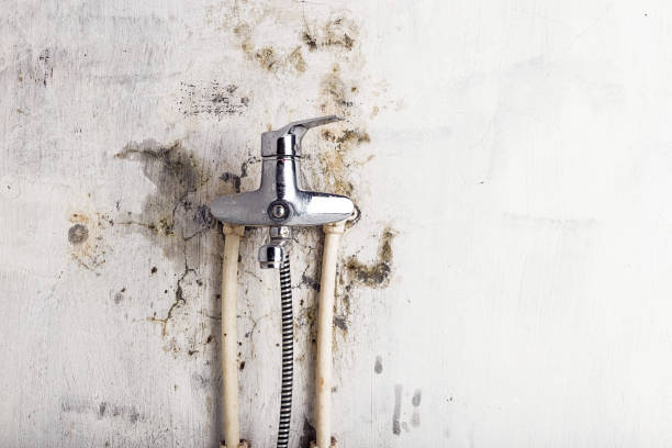 Best HVAC Mold Remediation in Gun Barrel City, TX