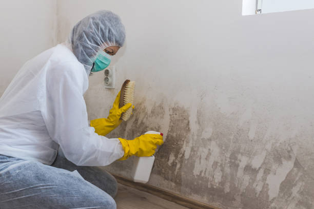 Best Crawl Space Mold Remediation in Gun Barrel City, TX