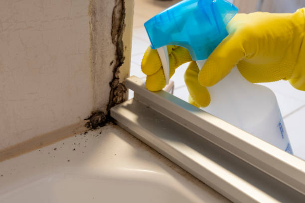 Best Post-Remediation Services in Gun Barrel City, TX
