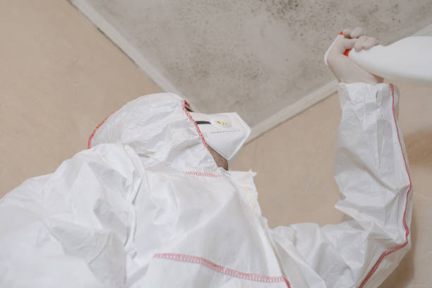 Best HVAC Mold Remediation in Gun Barrel City, TX